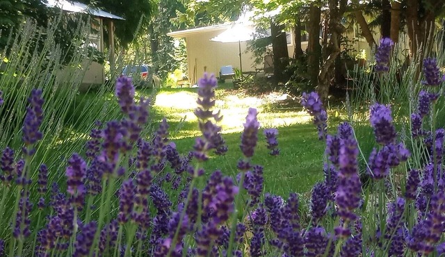 Serenity & Adventure @ Arrow Lake Lavender Cottage. Walk to Sandy Beach & Golf.