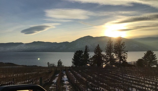 Smack Dab in the Heart of Wine country🍷