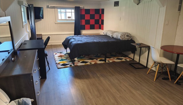Spacious Bachelor Basement Suite of Historic Old Home. Pet Friendly. Cable TV