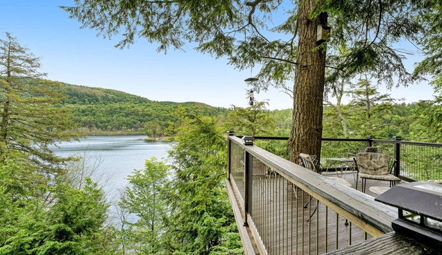 Spectacular dog-friendly lakefront house with washer/dryer & fast WiFi