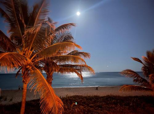 StudioBTS - Lauderdale-By-The-Sea