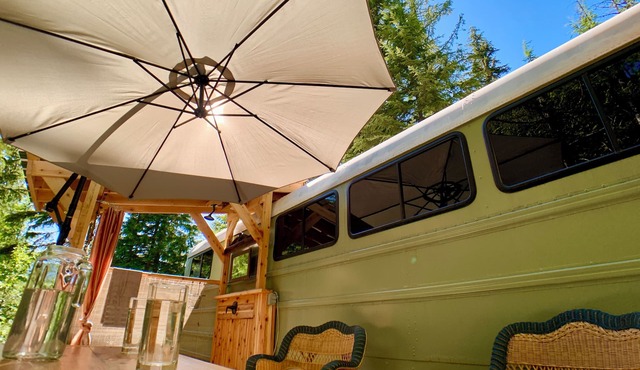 The Bus Stop .in a remote, private & tranquil forest