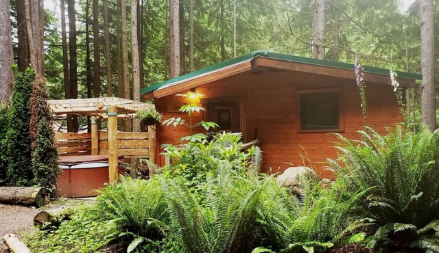 The Clearwater Cabin