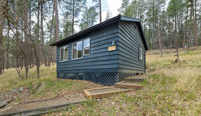 The Hugo Cabin