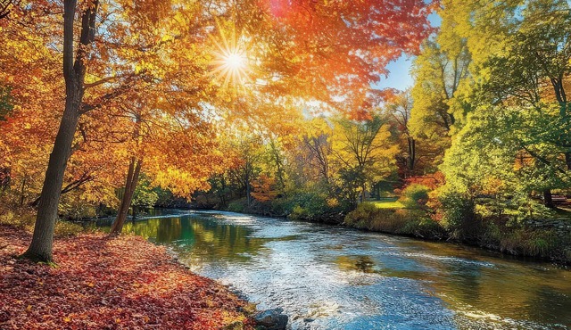 The Lower Hollow House, dip into river in backyard