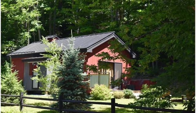 “The Maple Moose”, modern cabin near Woodstock