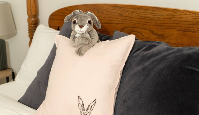 The Ugly Bunny Guest House | King Bed