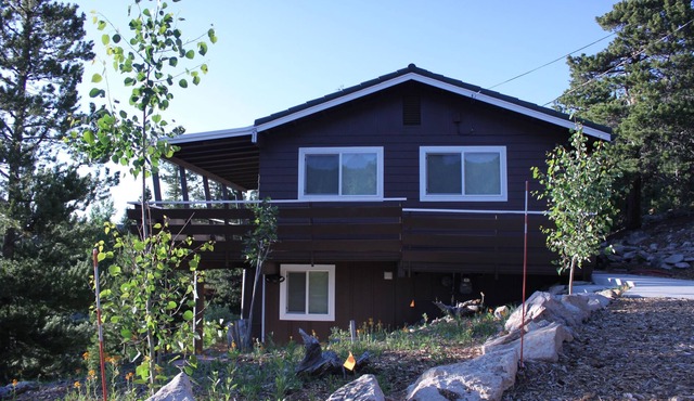 The Wonder View Lodge!