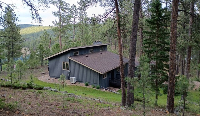 Thrall Mountain Cabin