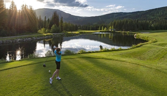 Timberline Village #38 By Bear Country