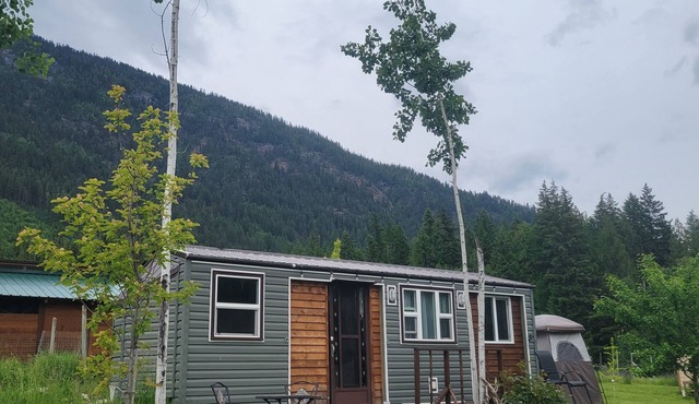 Tiny House with stunning mountain views, steps from Arrow lake. Pet- friendly!