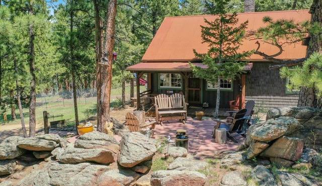 VIntage cabin/1.5 acres/mountain views