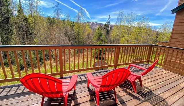 W62 Mount Wash Place Townhome, AC, seasonal views, fireplace, large deck, yard, and ping pong!