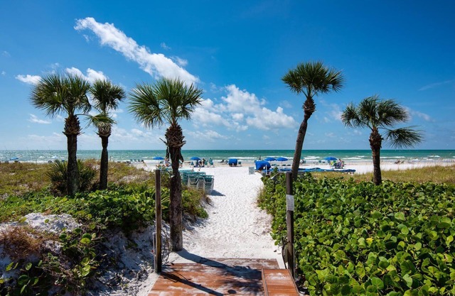 Siesta Dunes 