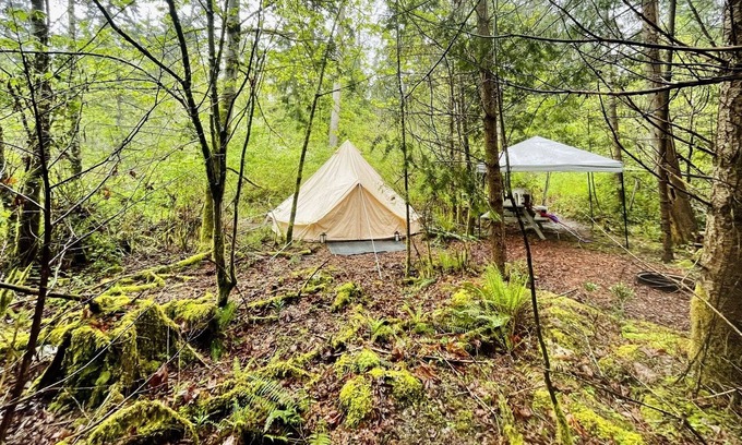Regional District of Nanaimo RV Rental | Allure— Vancouver Island