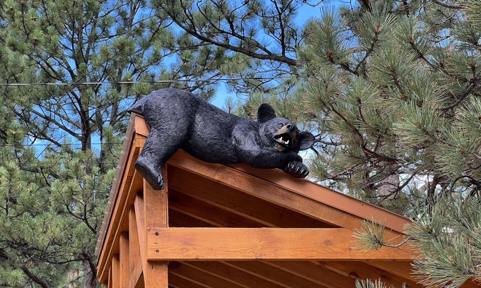 Estes Park House | Bear House – Spacious Home with Hot Tub, Near Downtown Estes Park – EV #3073