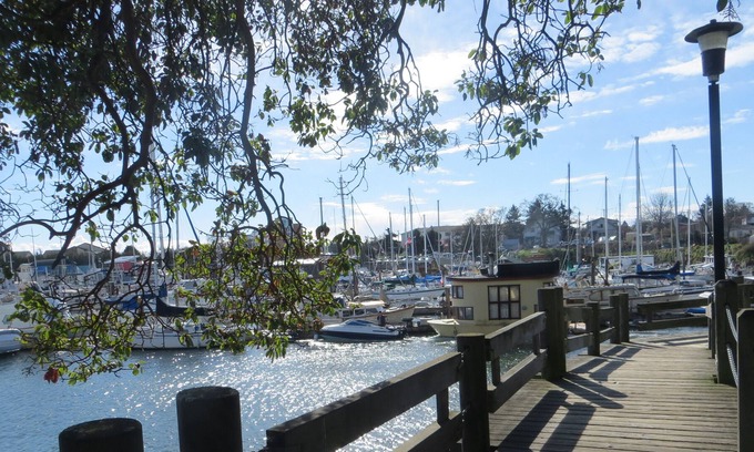 Victoria West House | Beautiful 1 or 2 Bedroom Suite in Victorian Home - close to the water