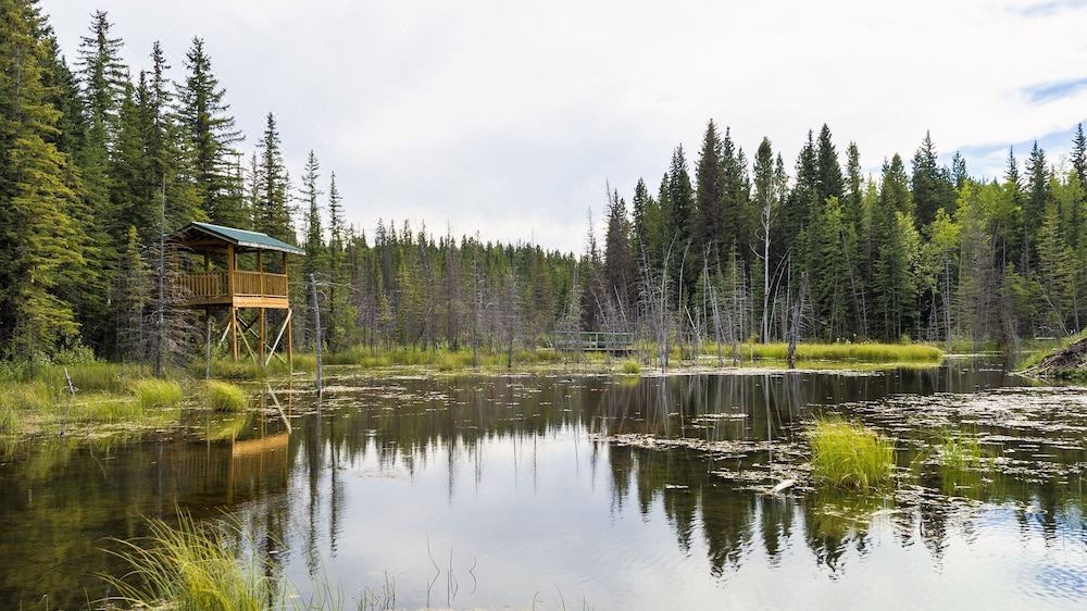 Photo of Outdoor in Hinton