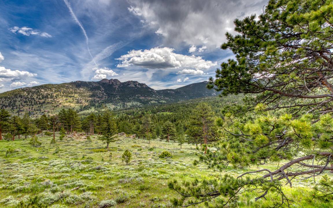 Photo of Others in Estes Park