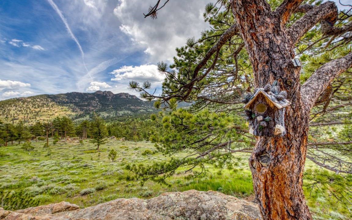 Photo of Others in Estes Park