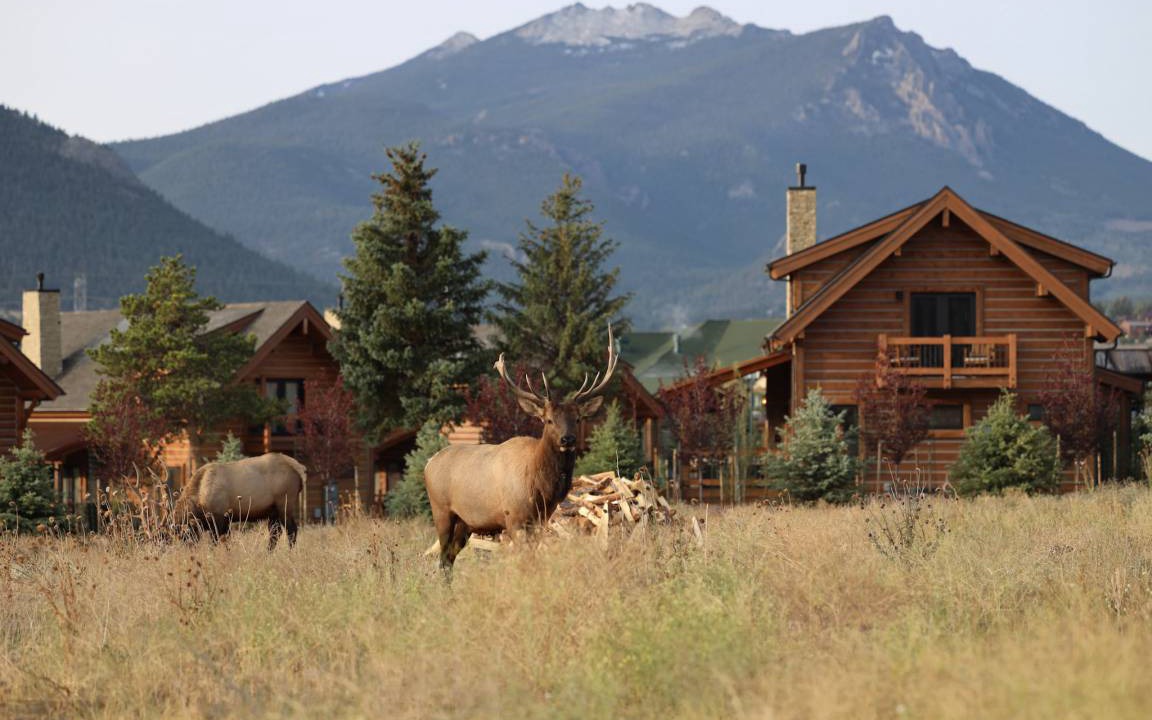 Photo of Others in Estes Park