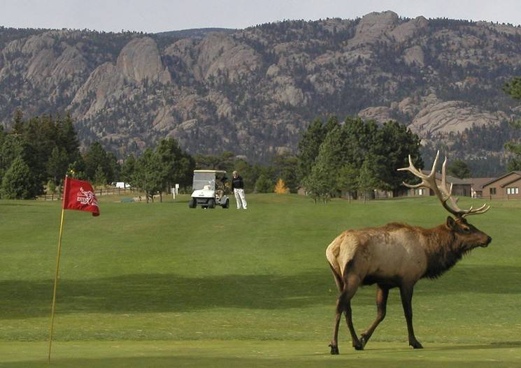 Photo of Others in Estes Park