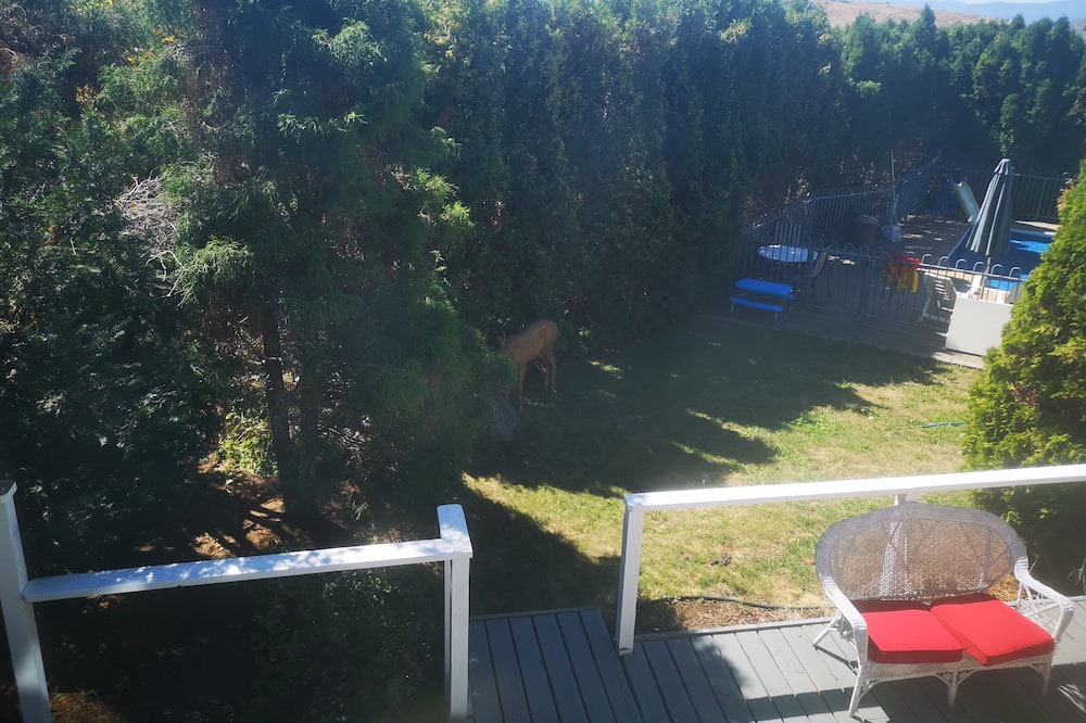 Photo of Others in Vernon