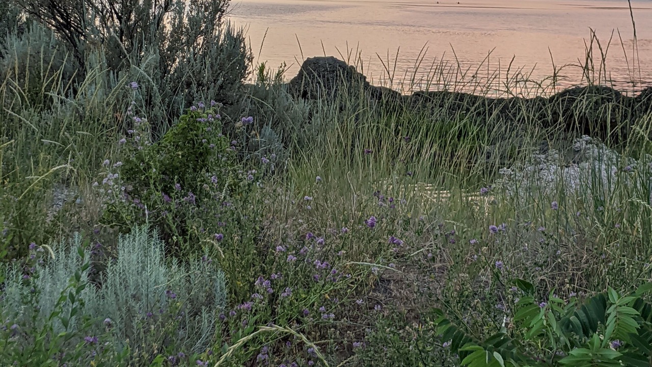 Photo of Others in Okanagan-Similkameen