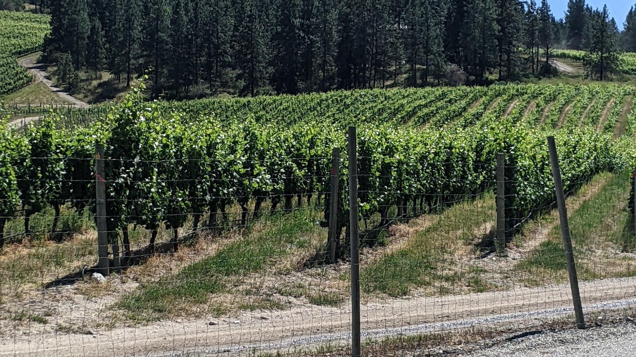 Photo of Others in Okanagan-Similkameen