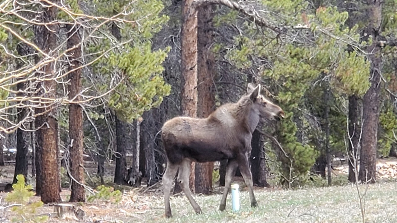 Photo of Others in Warm Springs