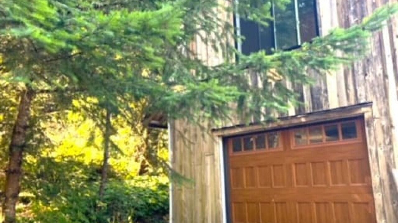 Photo of Outdoor in Shawnigan Lake