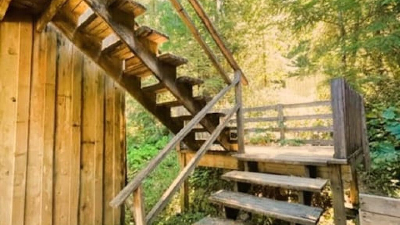 Photo of Outdoor in Shawnigan Lake