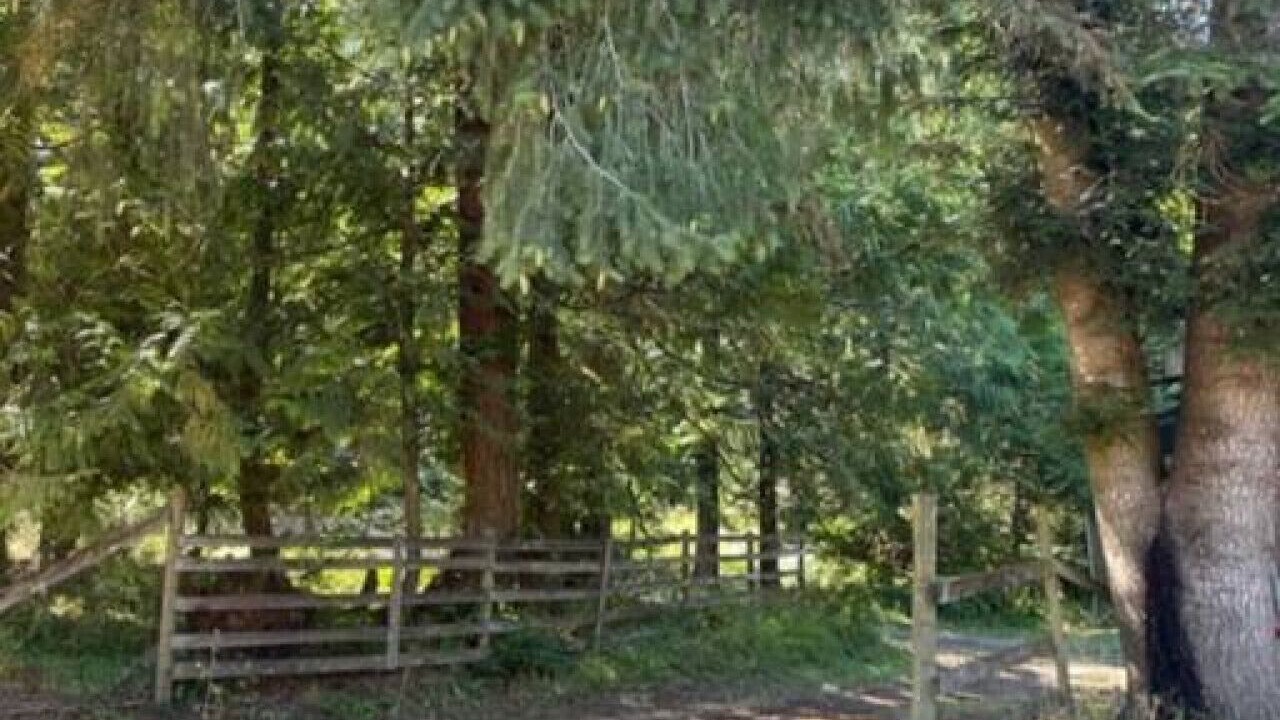 Photo of Outdoor in Shawnigan Lake