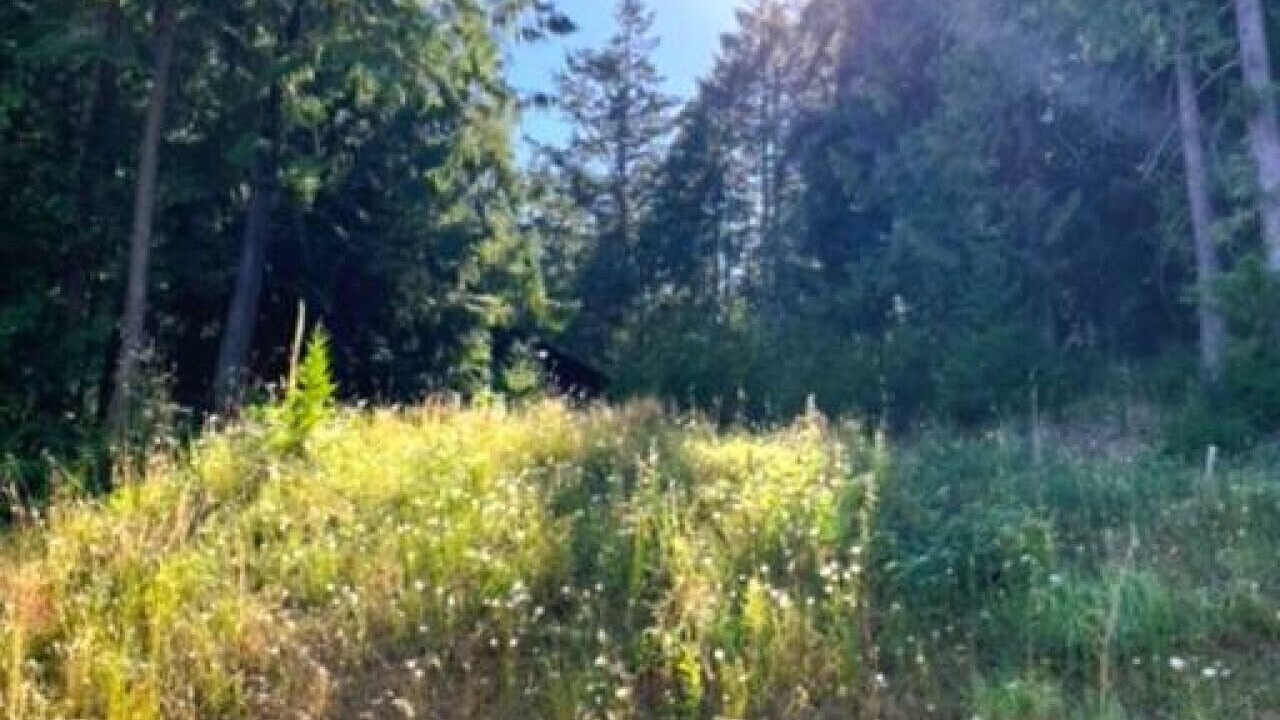Photo of Outdoor in Shawnigan Lake