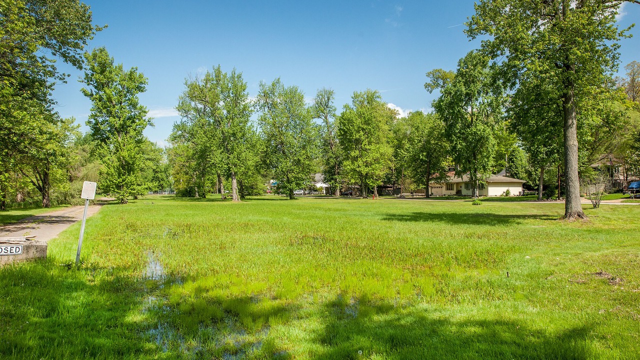 Photo of Others in Gloria Glens Park