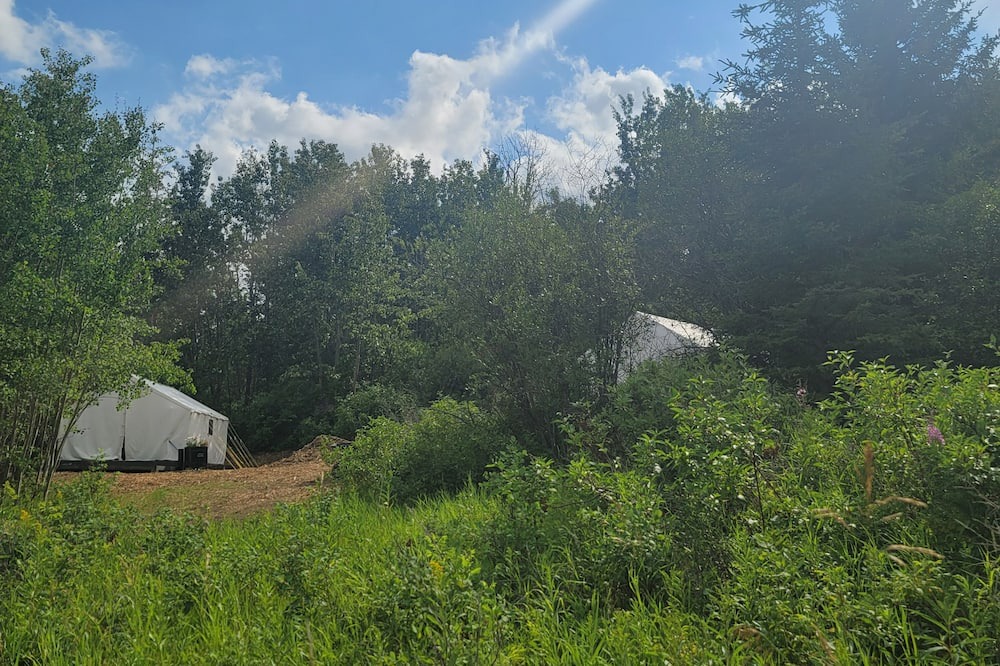 Photo of Outdoor in Griesbach