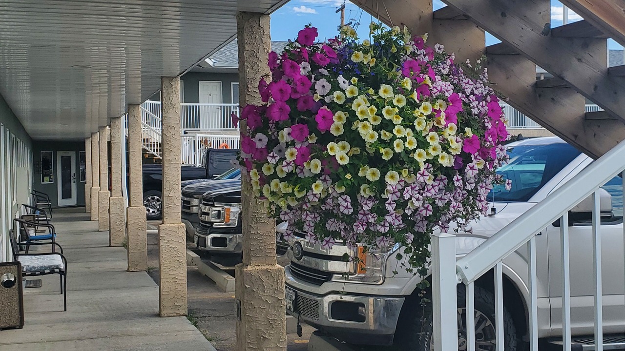 Photo of Outdoor in Wabamun