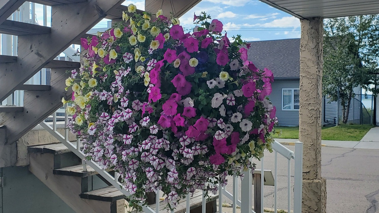 Photo of Outdoor in Wabamun