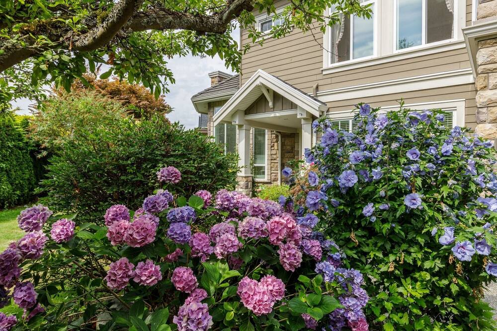 Photo of Outdoor in Steveston