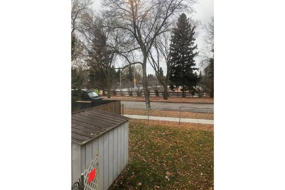 Photo of Others in Whyte ave