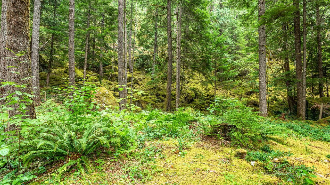 Photo of Outdoor in Woodfibre