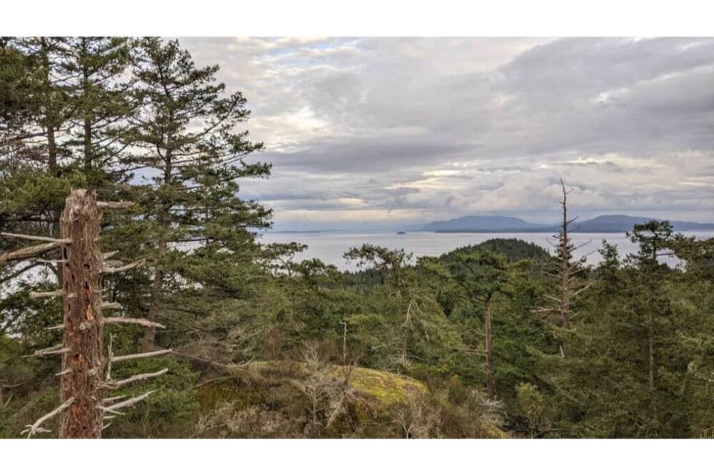 Photo of Outdoor in Pender Island