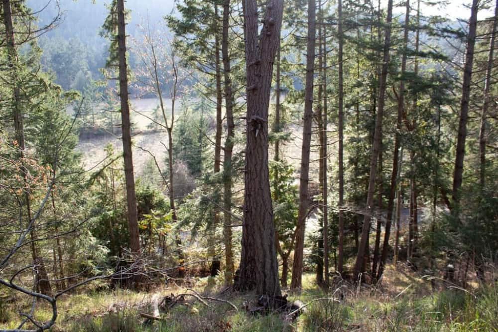 Photo of Others in Pender Island