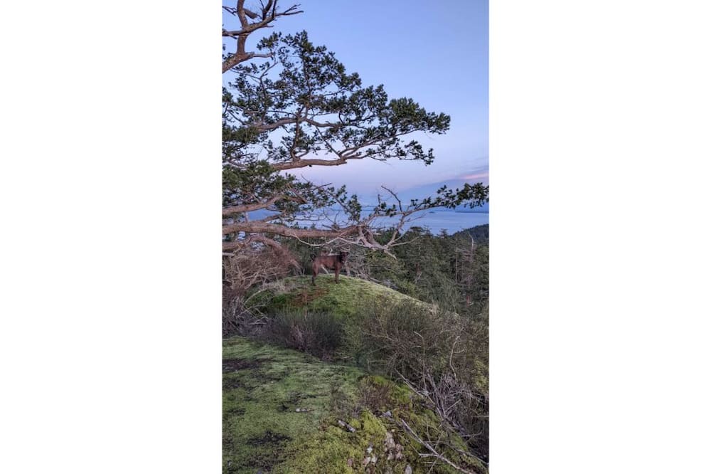 Photo of Outdoor in Pender Island