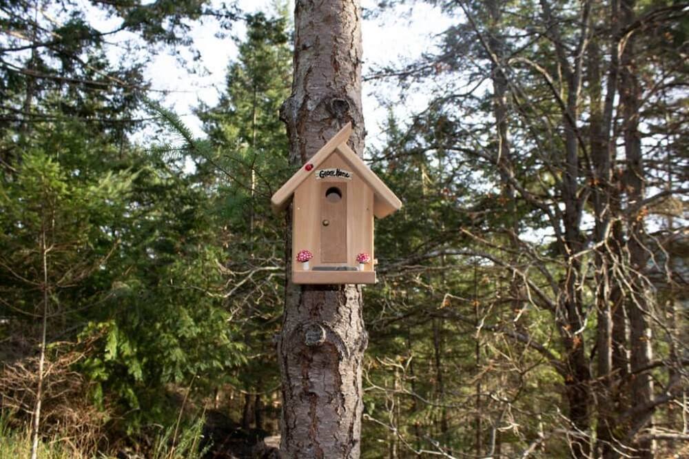 Photo of Outdoor in Pender Island