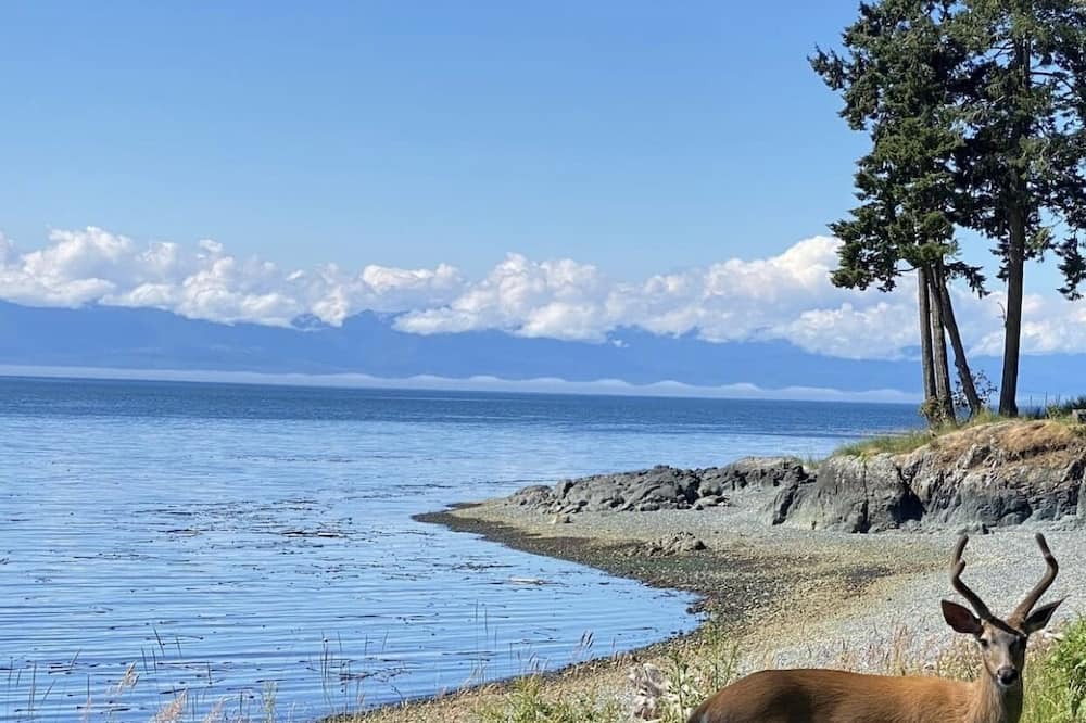 Photo of Outdoor in Sooke