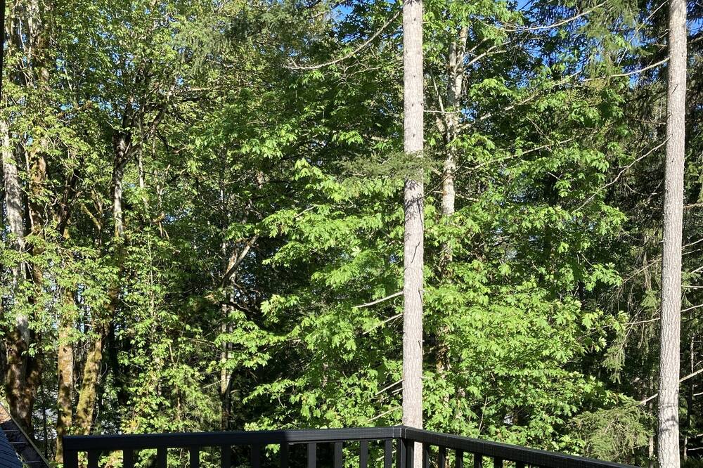Photo of Outdoor in Shawnigan Lake