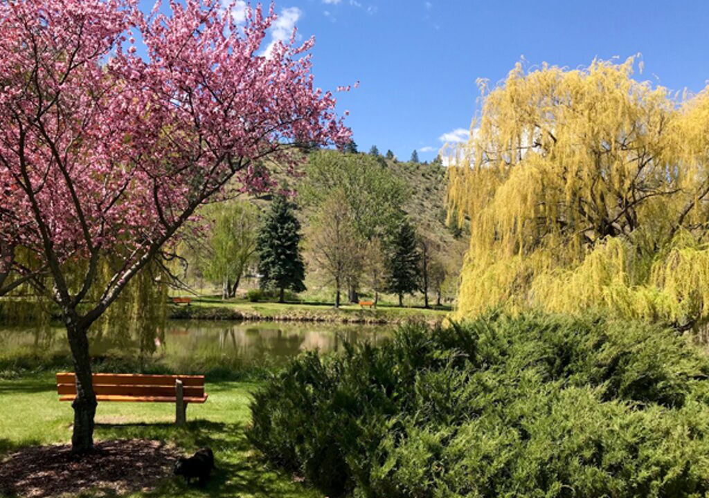 Photo of Outdoor in Okanagan-Similkameen