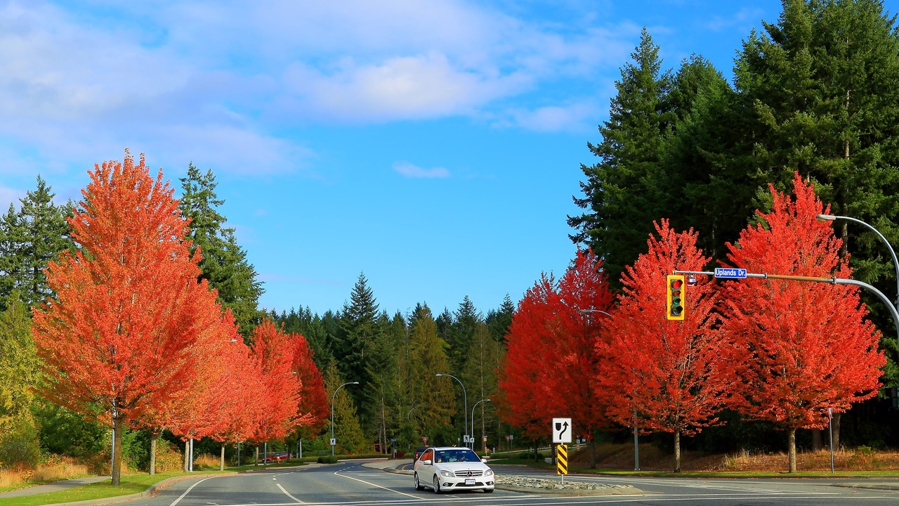 Photo of Others in Regional District of Nanaimo