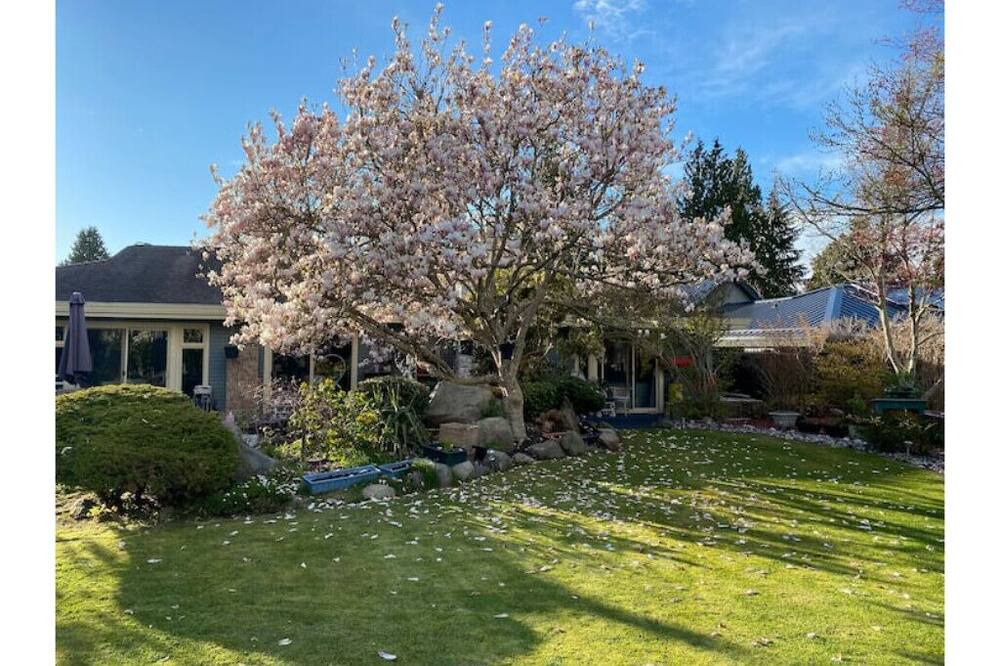 Photo of Outdoor in Delta